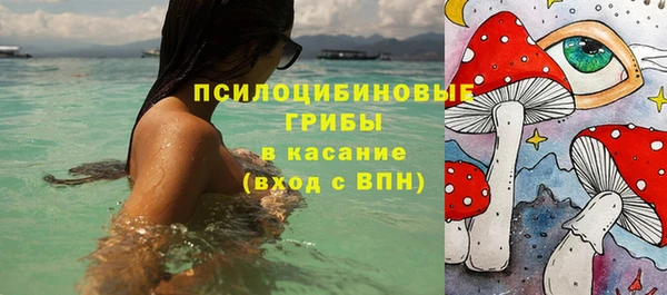герыч Бородино