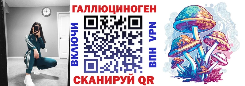 купить закладку  Карталы  Псилоцибиновые грибы Psilocybe 